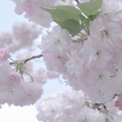 兽设冰川场景创作福瑞交流群